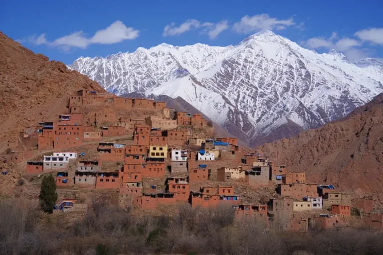 1f00e478-5a9b-4204-b87f-1b26ab63a674 (1)