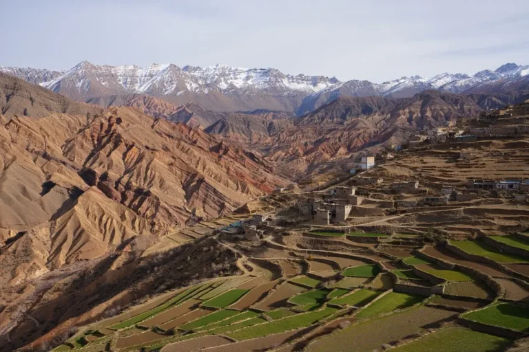 43e7e088-65cd-43b3-af06-af8bb55c9dca (2)