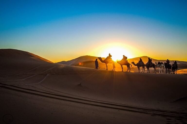 camel-ride-desert-fez-to-marrakech-tours-900x600
